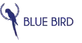 bluebirdshoes.com.br